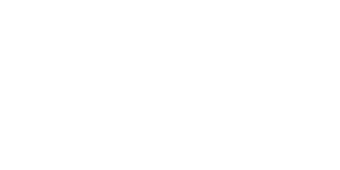 Hans Reinke